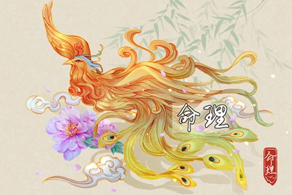 八字印星查询,择吉日测算,测流年运势,八字华盖测算