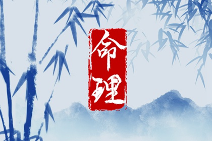 男双胞胎取名|起名社免费起名|名人五行起名|测八字起名字|男孩叶取名字