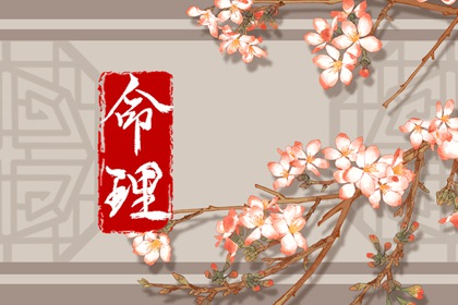 紫星命盘|算紫薇命盘算命|紫微命盘八字排盘|紫微星转世|命盘解析