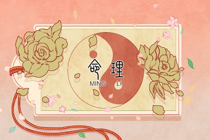 今日黄历吉日查询|老黄历查询每日宜忌|万年历老黄历表查询|在线黄历吉日查询|农历2026年老黄历