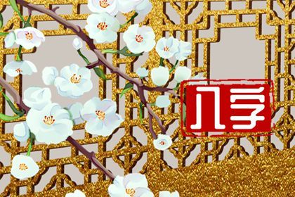 起运年龄怎么理解