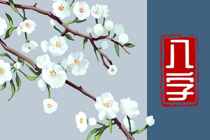 神煞：辅助参考而非定论