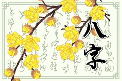 常见八字误区