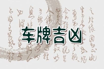 如何读本页结果