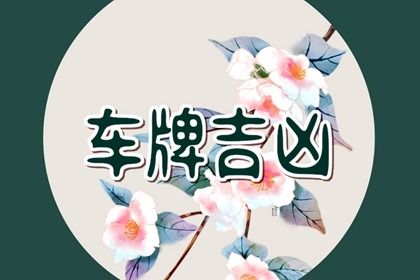 车牌数字解读