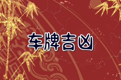 车牌吉凶看什么