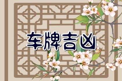 号码吉凶是什么