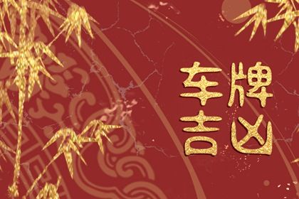 车牌吉凶看什么