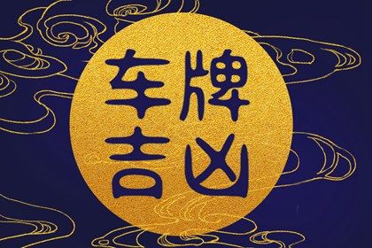 数字化号码参考用法