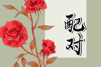 算命排盘,流年算命免费,灵机八字排盘