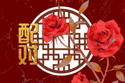 四柱在婚姻中的分工