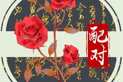 流年查询免费_运程流年免费_算流年运势