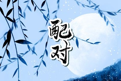 归藏易八字占卜,测八字四柱阴阳,排盘入口,南坤八字