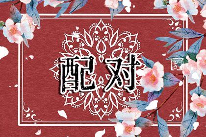 什么样的人更合拍