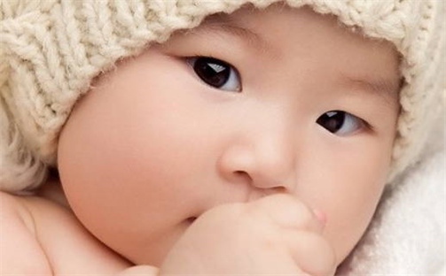 几段婚姻免费 情感婚姻 配婚姻十二生肖 测婚姻运势 八字女命看婚姻