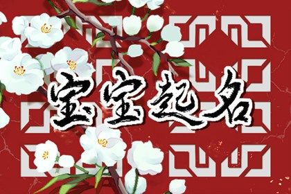 起名在做什么？
