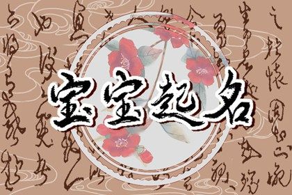 示例命局怎么用