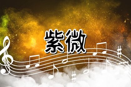 紫微斗数是什么