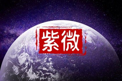 在线排盘看什么