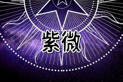 数字化紫微参考用法