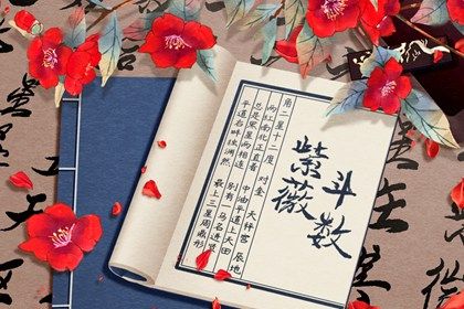 十二宫结构