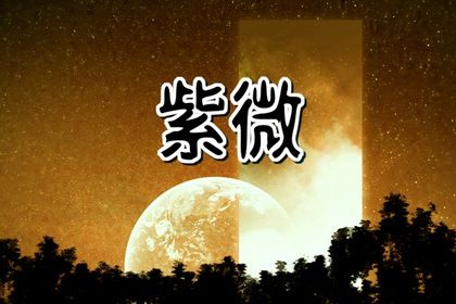数字化紫微参考用法