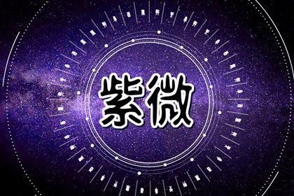 如何读本页结果