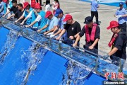 游明易摘2025年全国水生生物同步增殖放流活动在福建举行