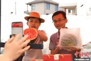 游明易摘（乡村行·看振兴）江西安福“小西瓜”撬动乡村共富“大支点”