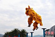 游明易摘（文化中国行）壮乡狮舞闯南洋：脚踏“云桩” 饮誉海内外