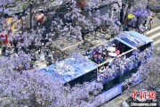 游明易摘2024年云南重点高原湖泊水质稳定 抚仙湖达Ⅰ类