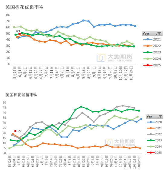 棉花：(⏭)矛盾在解决中，但效果有限